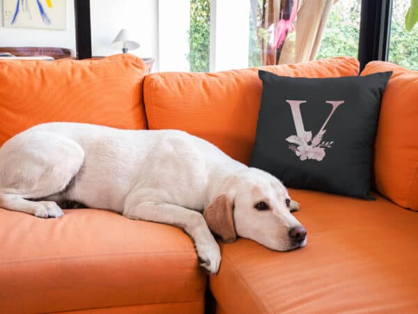 Custom Printed Monogram Letter V on Black Pillow Case mockup on an orange sofa near a labrador dog